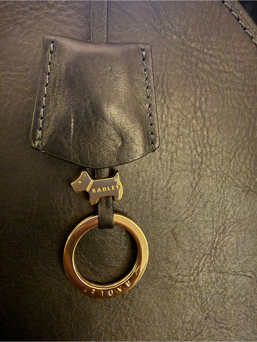 RADLEY LONDON Tulip Bag, Open Top with Keyring and Gold Accents - Picture 3 of 3